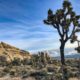 Weekend trip to Joshua Tree – A desert quickie