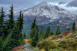 Mt Rainier National Park – how to spend 1 day in Paradise