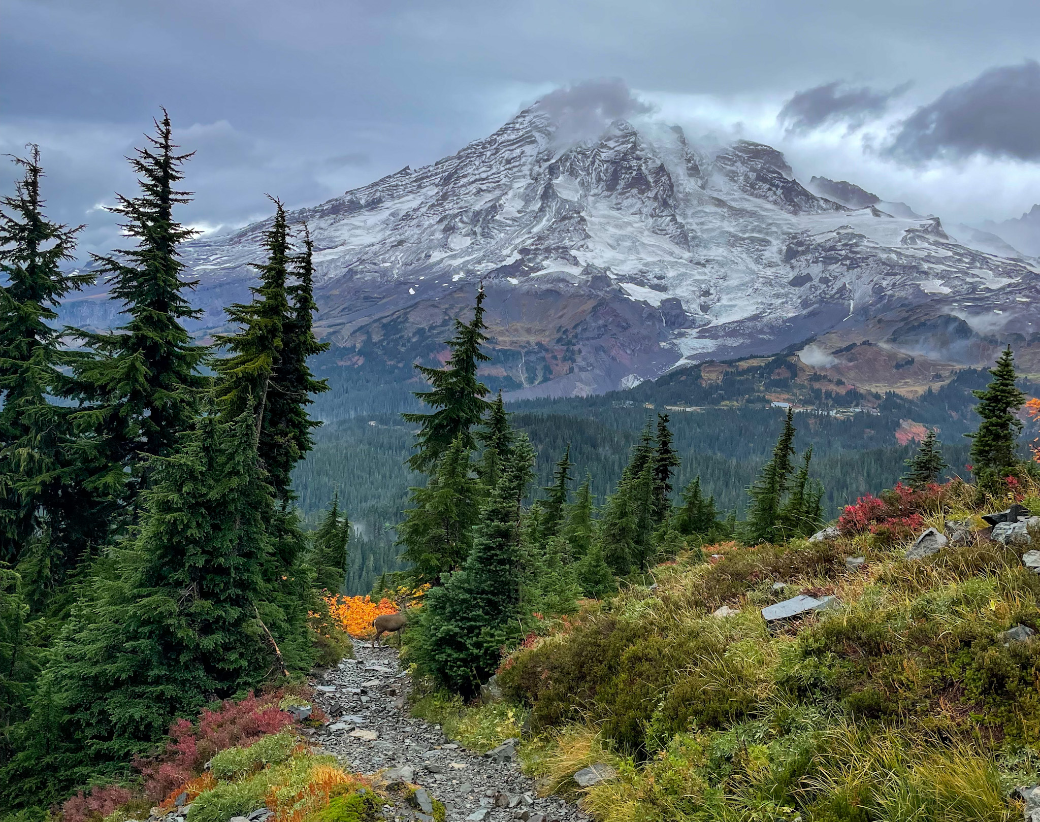 Mt Rainier National Park how to spend 1 day in Paradise Peep Travels